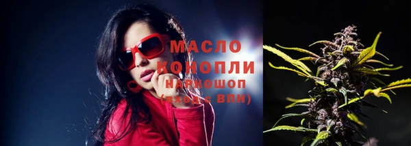 прущие крисы Каменка