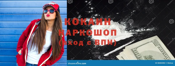 PSILOCYBIN Каменногорск