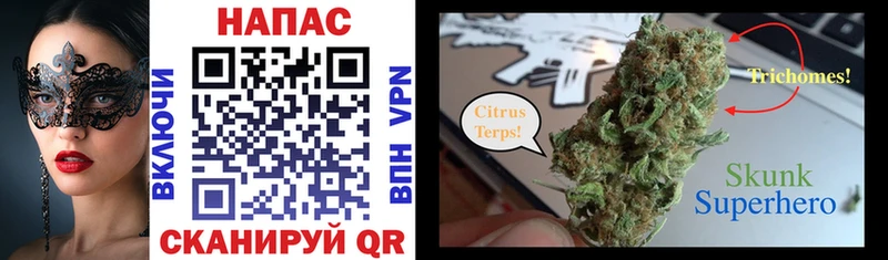 Канабис семена  Купить где  Агидель 